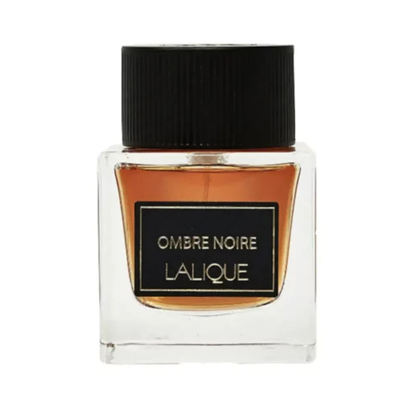 ombre noire edp m 100 01