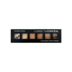پالت کانسیلر گلدن رز مدل Correct and Concealer شماره 02