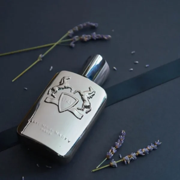 ادو پرفیوم مردانه مارلی مدل Pegasus حجم 125ml
