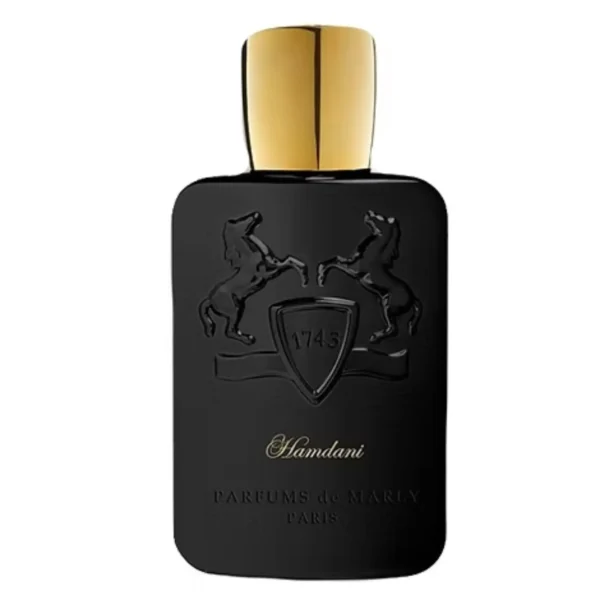 ادو پرفیوم مردانه مارلی مدل Hamdani حجم 125ml
