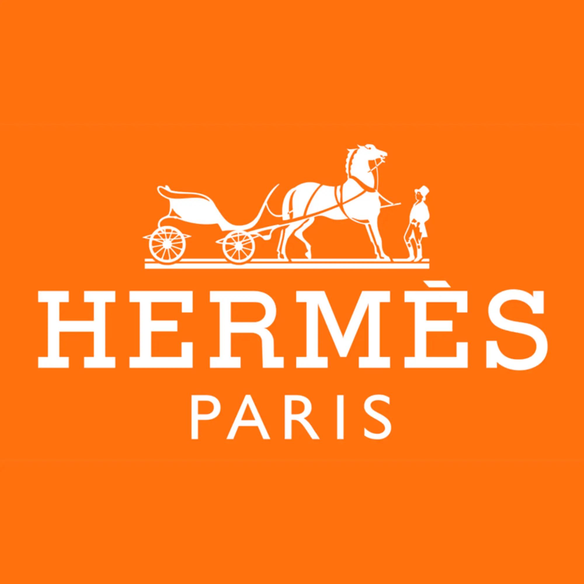 hermes logo