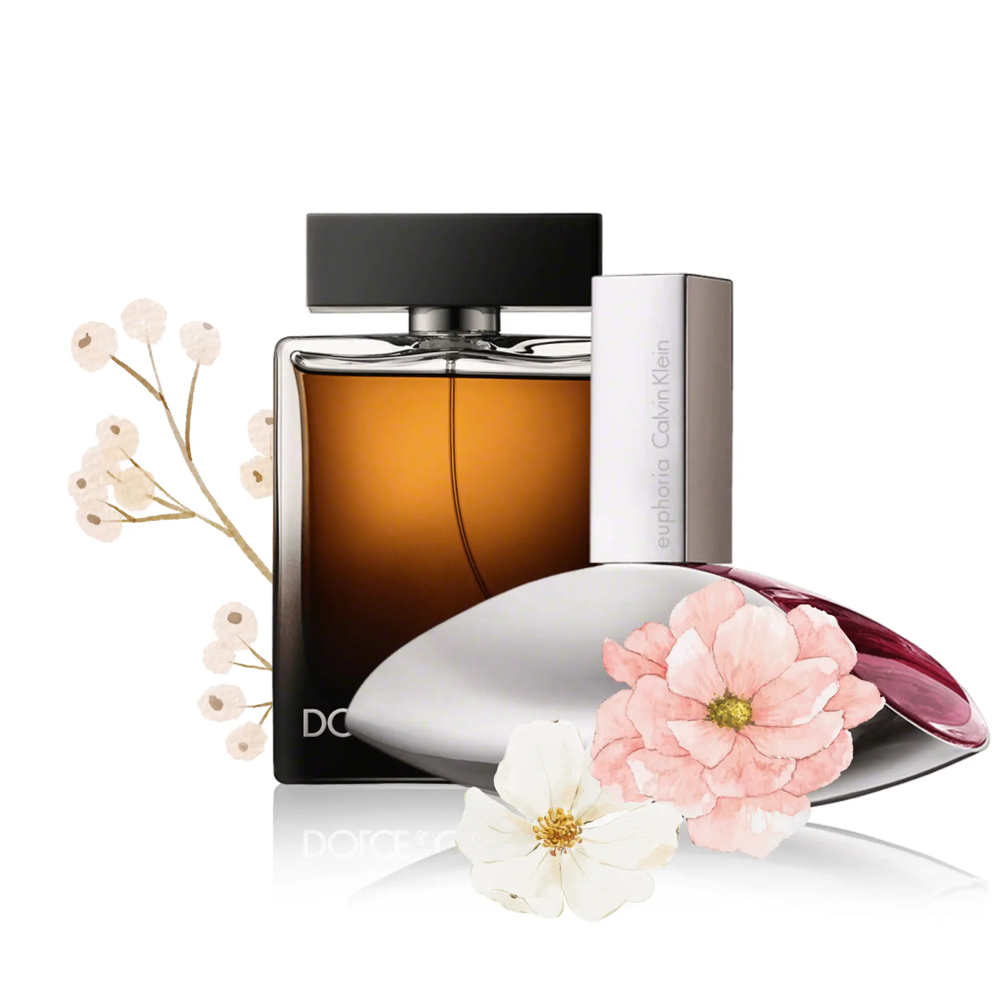 صفحه اصلی 1 Perfumes